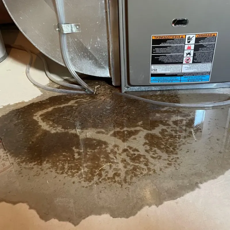 Pipe Burst and Leak Restoration in Sanford, ME
